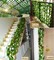 6 PACK 6.5 Ft Artificial Hanging Garland Ivy Leaves Plants Vines Home Decor